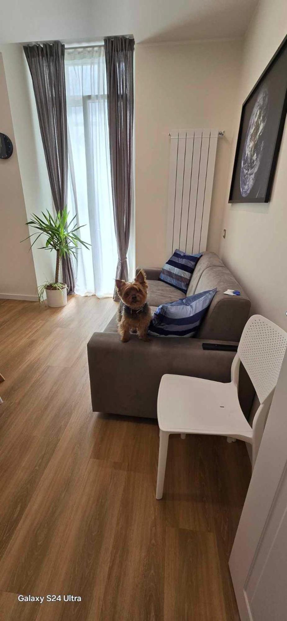 The Dream Apartment 100 M Dal Mare Savona Zewnętrze zdjęcie